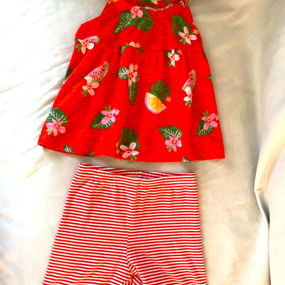 Baby Girls 2 Tops and Bottoms Matching Sets
